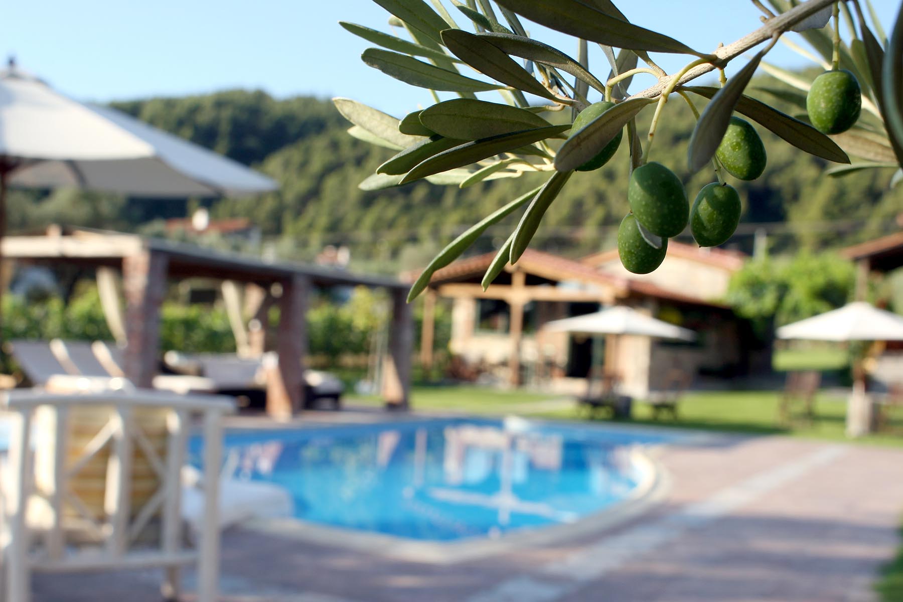 Vourvourou Halkidiki Ta Petrina Boutique Villas